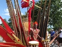 2013-caribana-parade-03