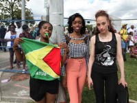 2013-caribana-parade-23