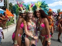 2013-caribana-parade-24