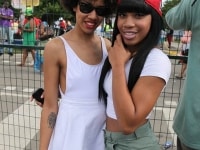 2013-caribana-parade-45