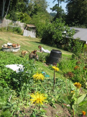 Reading in my parents’ backyard in my pyjamas because that’s what one does on Salt Spring Island in the summertime.