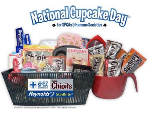 nationalcupcakeday