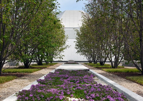 2015525-aga-khan-blossom