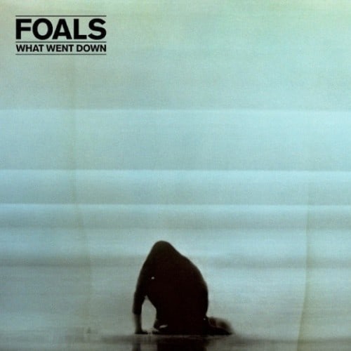 foals