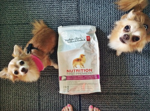 The boys were VERY interested in the chicken and brown rice kibble as soon as it arrived at the door.