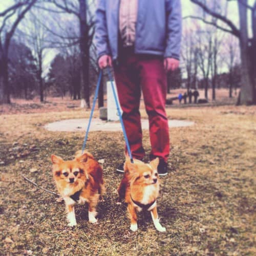 Nothing beats a fall hike with dad. 