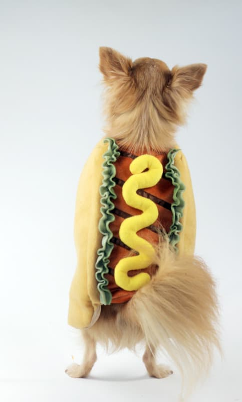 bennie_hotdog