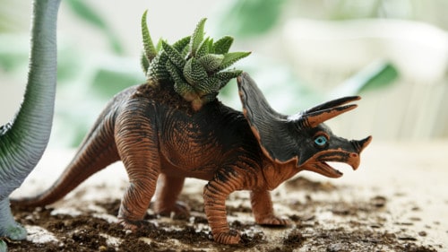 dino-planter-1