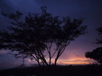 IMG_8374