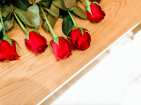 Screen Shot 2018-03-23 at 10.28.01 AM