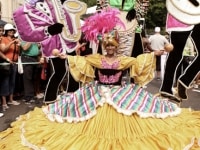 63caribana-parade-14