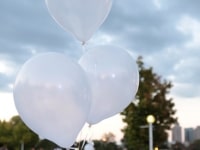 16diner-en-blanc