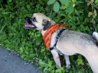 jager-nxne-bbq-musicians-party-23