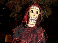 img_4207