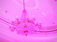 pink-party-36