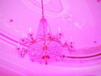 pink-party-36