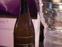 89pioneering-women-2015