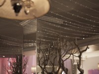 29regent-park-gala