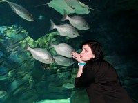 the-big-give-ripleys-aquarium-23