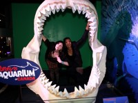 the-big-give-ripleys-aquarium-60