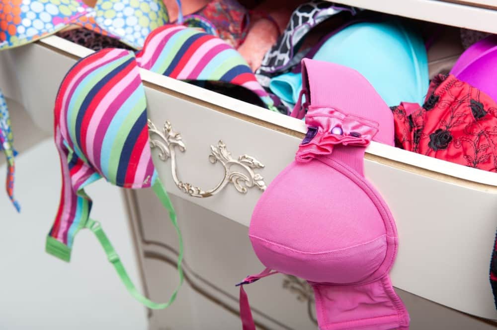 Free The Girls: Cele-BRA-tion & Gently Used Bra Drive