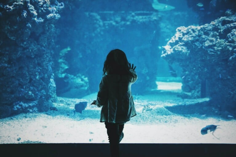 After years of misery, I chose to disconnect from my parents